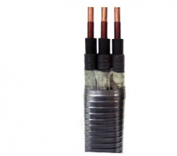 project wanda jembo esp cable 18